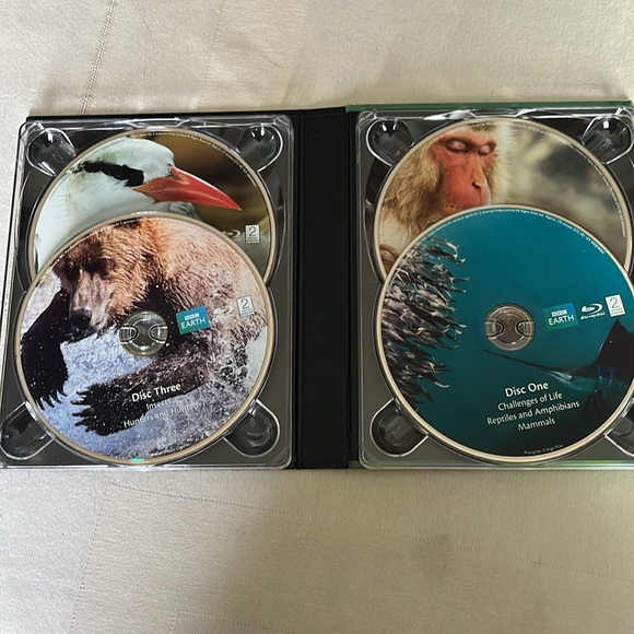 Life Video - Picture 2 of 3